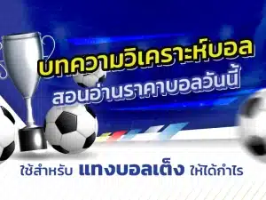 ราคาบอลปป