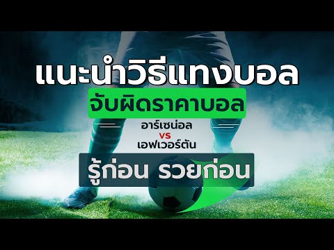 ราคาบอลปป